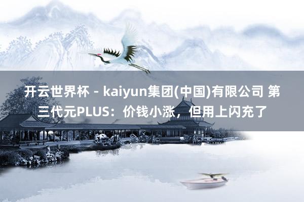 开云世界杯 - kaiyun集团(中国)有限公司 第三代元PLUS：价钱小涨，但用上闪充了