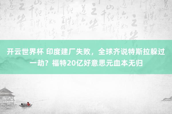 开云世界杯 印度建厂失败，全球齐说特斯拉躲过一劫？福特20亿好意思元血本无归