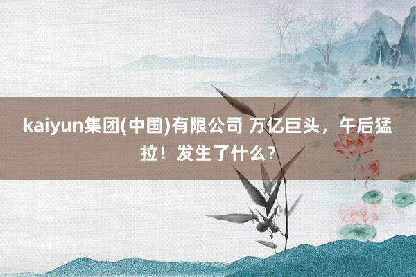 kaiyun集团(中国)有限公司 万亿巨头，午后猛拉！发生了什么？