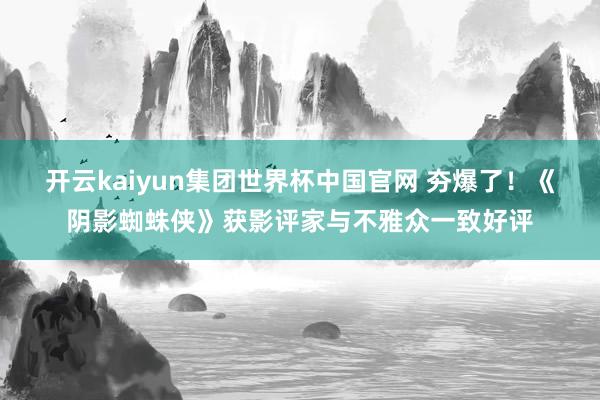 开云kaiyun集团世界杯中国官网 夯爆了！《阴影蜘蛛侠》获影评家与不雅众一致好评