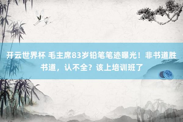 开云世界杯 毛主席83岁铅笔笔迹曝光！非书道胜书道，认不全？该上培训班了