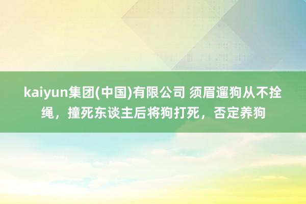 kaiyun集团(中国)有限公司 须眉遛狗从不拴绳,撞死东谈主后将狗打死,否定养狗