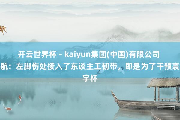开云世界杯 - kaiyun集团(中国)有限公司 远藤航:左脚伤处接入了东谈主工韧带,即是为了干预寰宇杯