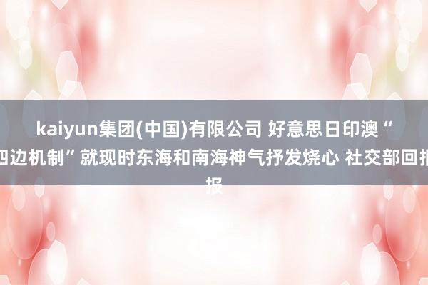 kaiyun集团(中国)有限公司 好意思日印澳“四边机制”就现时东海和南海神气抒发烧心 社交部回报