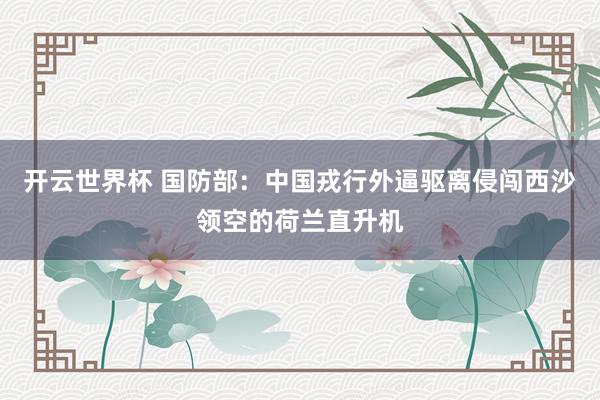 开云世界杯 国防部：中国戎行外逼驱离侵闯西沙领空的荷兰直升机