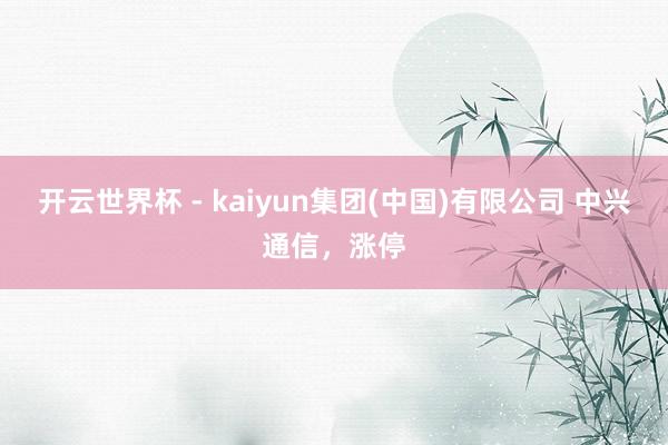 开云世界杯 - kaiyun集团(中国)有限公司 中兴通信，涨停