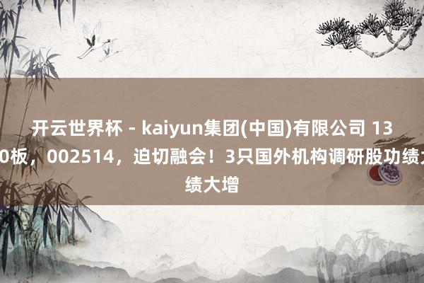 开云世界杯 - kaiyun集团(中国)有限公司 13天10板，002514，迫切融会！3只国外机构调研股功绩大增