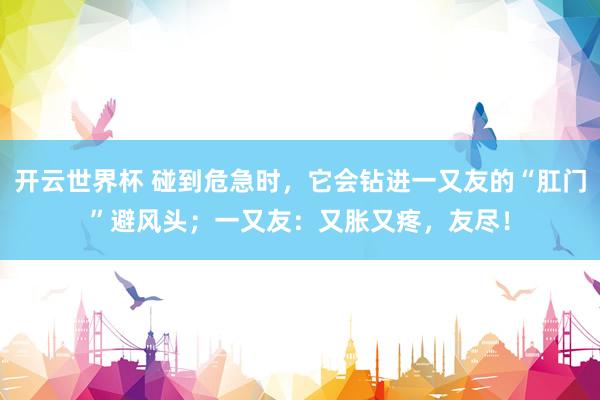 开云世界杯 碰到危急时，它会钻进一又友的“肛门”避风头；一又友：又胀又疼，友尽！