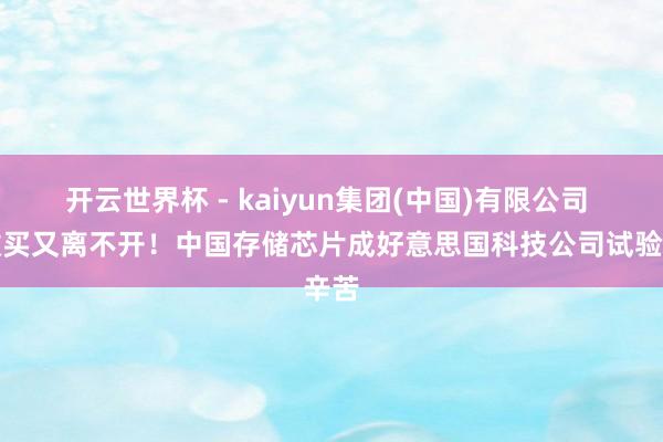 开云世界杯 - kaiyun集团(中国)有限公司 不敢买又离不开!中国存储芯片成好意思国科技公司试验辛苦