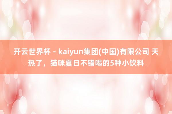 开云世界杯 - kaiyun集团(中国)有限公司 天热了，猫咪夏日不错喝的5种小饮料