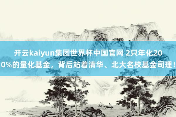 开云kaiyun集团世界杯中国官网 2只年化200%的量化基金，背后站着清华、北大名校基金司理！