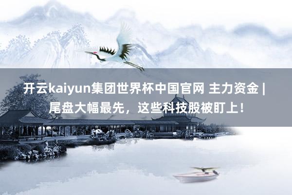 开云kaiyun集团世界杯中国官网 主力资金 | 尾盘大幅最先，这些科技股被盯上！