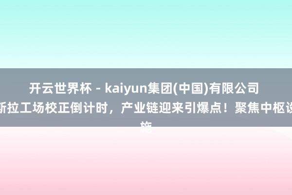 开云世界杯 - kaiyun集团(中国)有限公司 特斯拉工场校正倒计时,产业链迎来引爆点!聚焦中枢设施