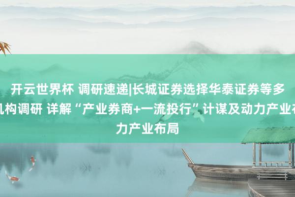 开云世界杯 调研速递|长城证券选择华泰证券等多家机构调研 详解“产业券商+一流投行”计谋及动力产业布局