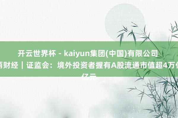开云世界杯 - kaiyun集团(中国)有限公司 半两财经｜证监会：境外投资者握有A股流通市值超4万亿元