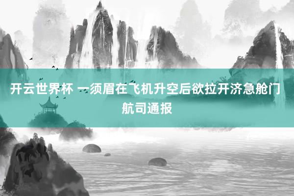开云世界杯 一须眉在飞机升空后欲拉开济急舱门 航司通报