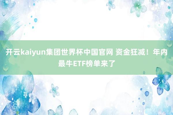 开云kaiyun集团世界杯中国官网 资金狂减！年内最牛ETF榜单来了