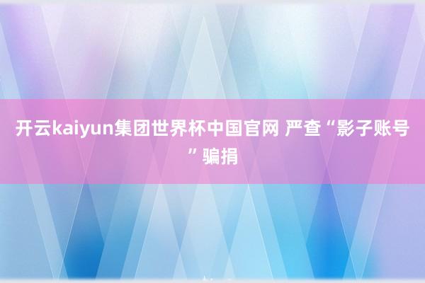 开云kaiyun集团世界杯中国官网 严查“影子账号”骗捐