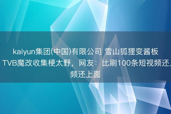 kaiyun集团(中国)有限公司 雪山狐狸变酱板鸭!TVB魔改收集梗太野,网友:比刷100条短视频还上面