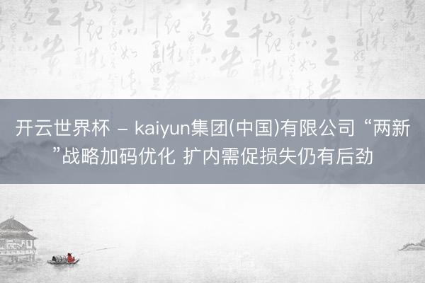 开云世界杯 - kaiyun集团(中国)有限公司 “两新”战略加码优化 扩内需促损失仍有后劲