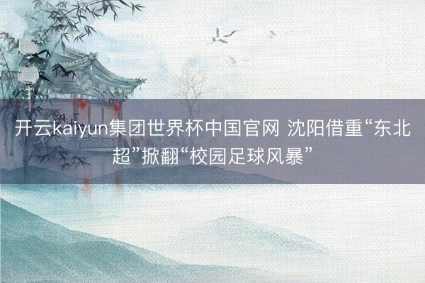 开云kaiyun集团世界杯中国官网 沈阳借重“东北超”掀翻“校园足球风暴”