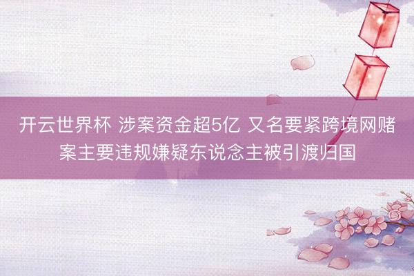 开云世界杯 涉案资金超5亿 又名要紧跨境网赌案主要违规嫌疑东说念主被引渡归国