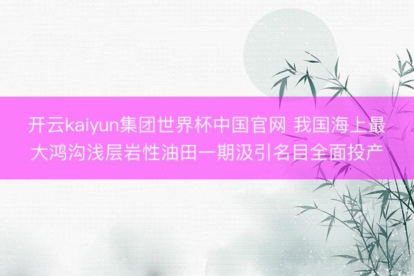 开云kaiyun集团世界杯中国官网 我国海上最大鸿沟浅层岩性油田一期汲引名目全面投产