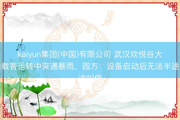 kaiyun集团(中国)有限公司 武汉欢悦谷大摆锤载客运转中突遇暴雨，园方：设备启动后无法半途叫停
