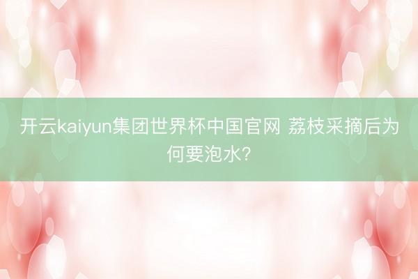 开云kaiyun集团世界杯中国官网 荔枝采摘后为何要泡水？